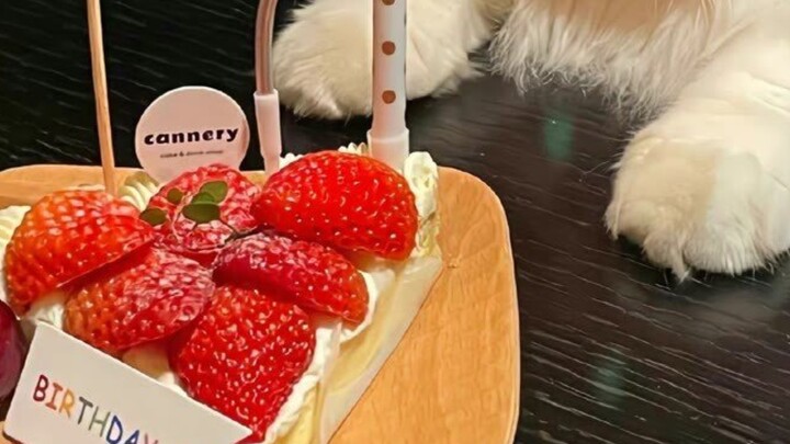 The Tang people's ultimate peak—every single member is a top-tier streamer on Bilibili, and they've 