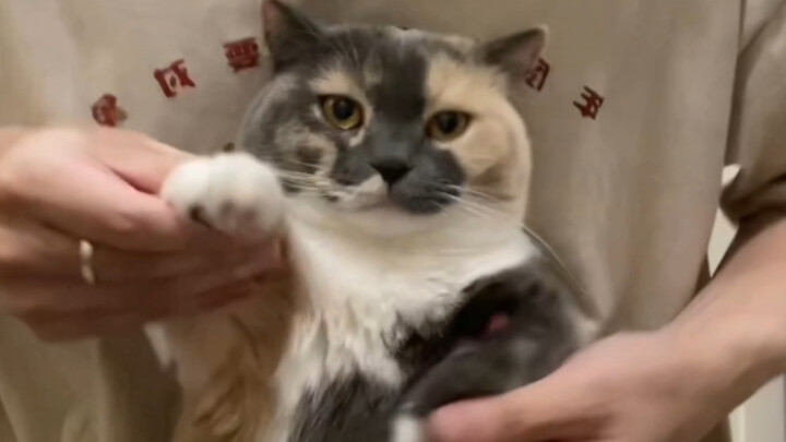 Keren dan kerempeng di atas panggung, imut banget di luar panggung!