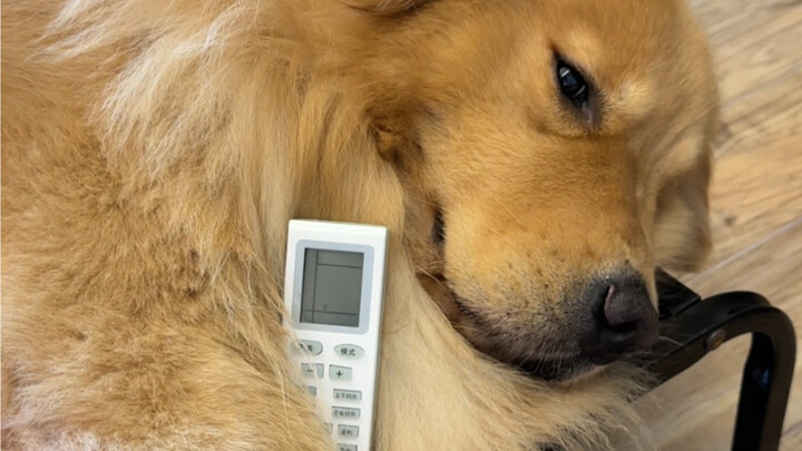 Kenapa dia nggak nyalainnya? Dia nggak kepanasan?