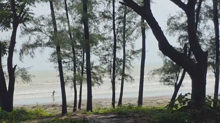 🌊 সমুদ্র + ⛰️ পাহাড় + 🌴 সবুজ প্রকৃতি + 🚗 মনোরম রোড ট্রিপ = Cox’s Bazar Marine Drive #Cox's Bazar