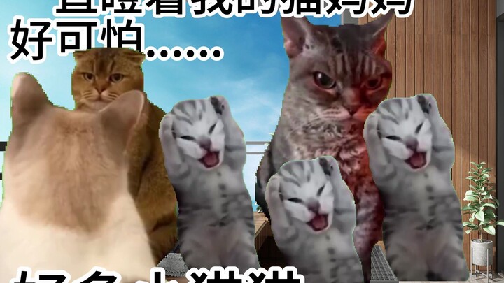 【Meme kucing】Tentang kejadian saat saya pulang dan mendapati ada satu sarang kucing di balkon