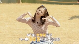 【twice】为什么总说兔的音很高