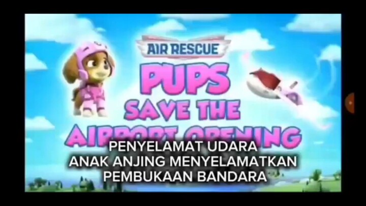 Paw Patrol Musim 11 Episode 6 Sub Bahasa Indonesia