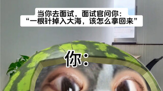 面试官：“一根针掉入大海，怎么拿回来”