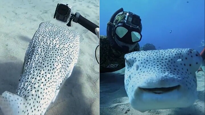 Turns out there are fish that “smile”? I quickly claimed it as my “boyfriend”!