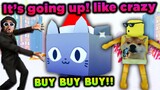 I Spent 0 Robux For This Festive Huge Cat From Christmas Egg And Price Just Went Up! Pet Simulator x