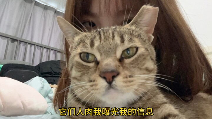 我为虐猫事件发声，却惨遭虐猫团伙开盒！