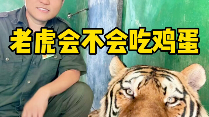 ลูกเลือกกินไม่ยอมกินข้าว ฉันควรทำยังไงดี?