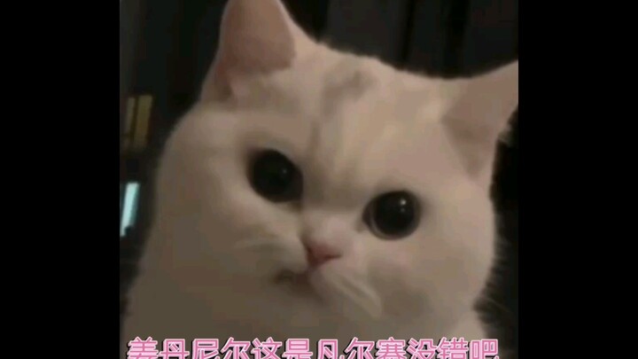 “凡 学 大 师 ”姜丹尼尔这是凡尔赛没错吧？