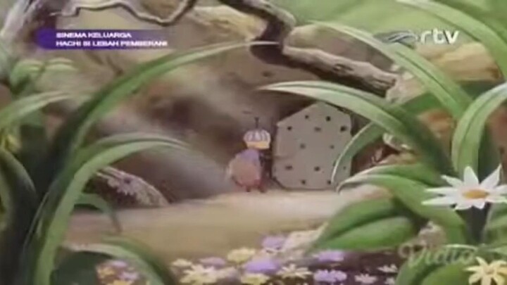 Hacchi si lebah pemberani pt 19