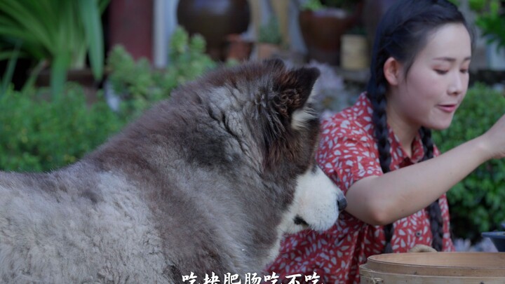 Wang Baobao’s happiness is eating and then sleeping, and after waking up, having another bite of the