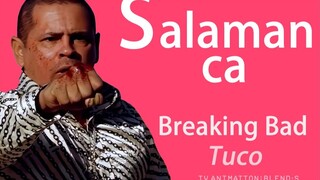 S代表Salamanca！