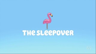 Bluey Season 1 Episode 39 The Sleepover