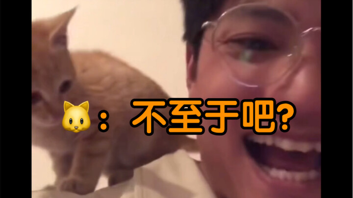 讲一下捡来的小猫咪和我这半年的故事 爱你