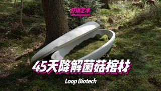 100% Natural Mushroom Coffin? Mycelium Decomposition?