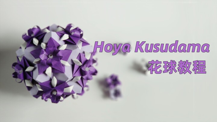 【花球教程】又是一款折法简单的花球哦～Hoya Kusadama花球