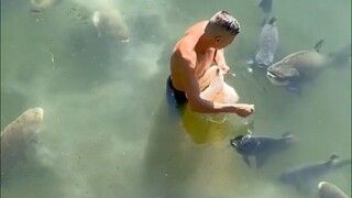 أطعم الأخ الأكبر الأسماك مثل الحيوانات الأليفة، ربت على رأسه، لا تتعجل، دعنا نأخذهم واحدًا تلو الآخر