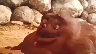 حتى المناقشة أصبحت تمييزية، أليس كذلك؟