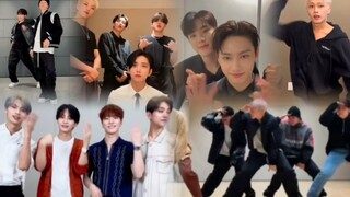 【seventeen】次人那些我本人超喜欢的舞蹈小视频合集