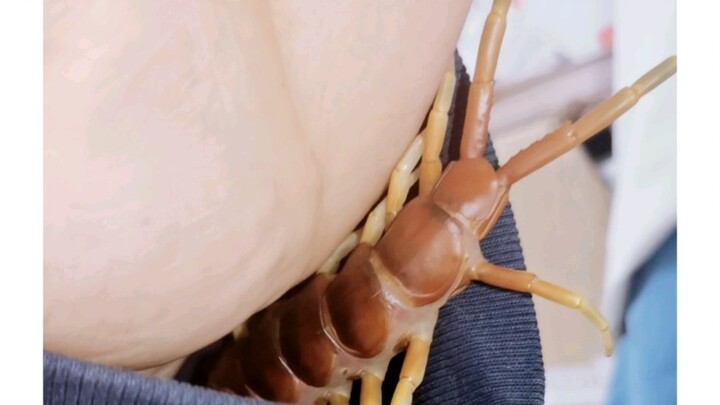 แขนเสื้อของฉันคือบ้านของเธอ