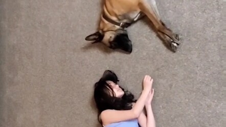 Anjing dan pemiliknya bermain game, dan anjing tersebut benar-benar bisa memahami maksud pemiliknya.