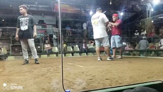Kanawayon Hatch Toppy F1 Line Broodstag Win Unscratch.. Sta. Rita Sportsville Batangas