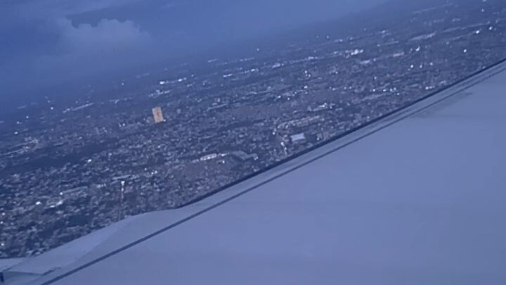 fly high butterfly😆