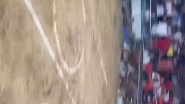 loss smc 5 cock 1st fight