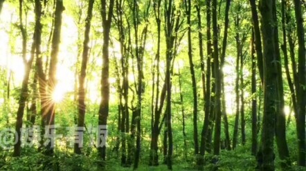 What a vicious, twisted romance!