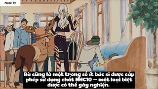 Top 7 Bác Sĩ Vĩ Đại Nhất One Piece #34- 5