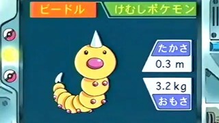 オーキド博士のポケモン講座(ビードル)