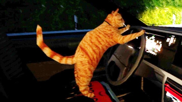 You’re telling me this game is based on a true story?