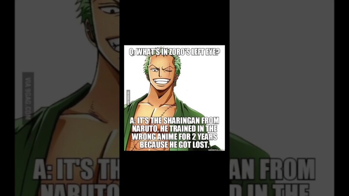 ONE PIECE MEMES 81% 😂