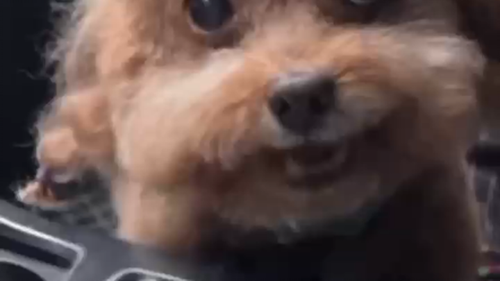 Not a single one is normal.