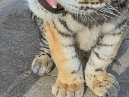 Babies who aren’t enthusiastic about eating!