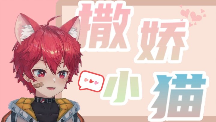 谁能拒绝一只撒娇的小猫呢？