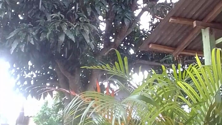 Hujan lagi