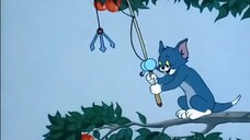 Tom and Jerry episode 91 - Pup on a Picnic (1955)