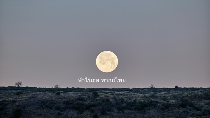 ฟ้าไร้เธอ พากย์ไทย