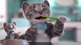 Meo Meo Meo Rửa Mặt Như Mèo - Nhạc Thiếu Nhi Vui Nhộn Chú Mèo Con Cho Bé Yêu - Con Mèo Vui Nhộn