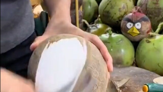 Who told you to kill the coconut? It smells so good, why am I crying?
