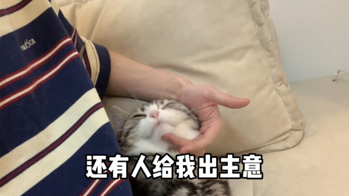 أعرف أنك لن تصدق ذلك.