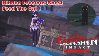 Hidden Precious Chest Feed The Cat In Amakumo Island