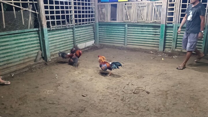 September 10, 2025 sparring exercise