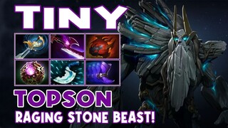 Tiny Topson Highlights RAGING STONE BEAST - Dota 2 Highlights - Daily Dota 2 TV