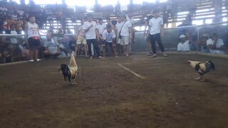 rrzn line kanawayon 3x winner