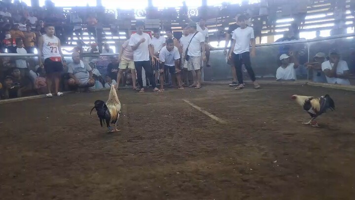 rrzn line kanawayon 3x winner