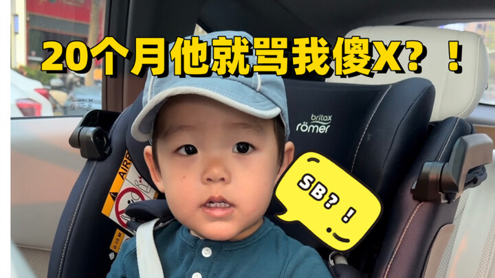 At 20 months, he already calls me a dumbass? Is this the caliber of kids raised by mommy bloggers?