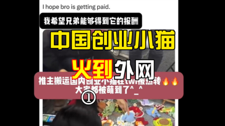 【Hàng vạn lượt xem trên Twitter】“Hy vọng anh bạn mèo của tôi có thể nhận được phần thưởng của mình”