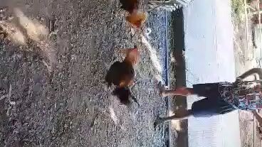practice muna tayo mga lods
